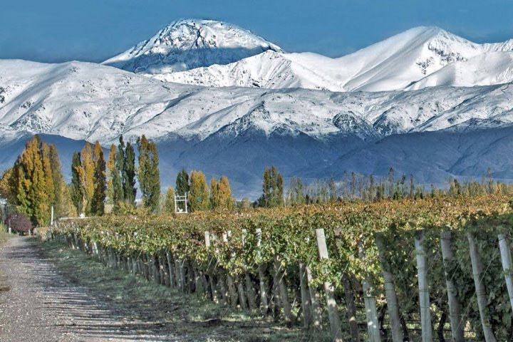 Wines of Argentina: San Antonio
