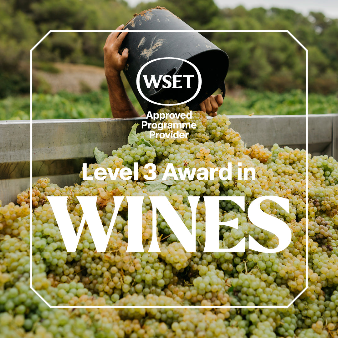 WSET Level 3 Award in Wines: Houston