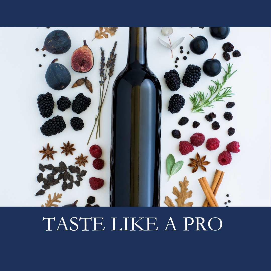 Taste Like a Pro: Red Wine Edition
