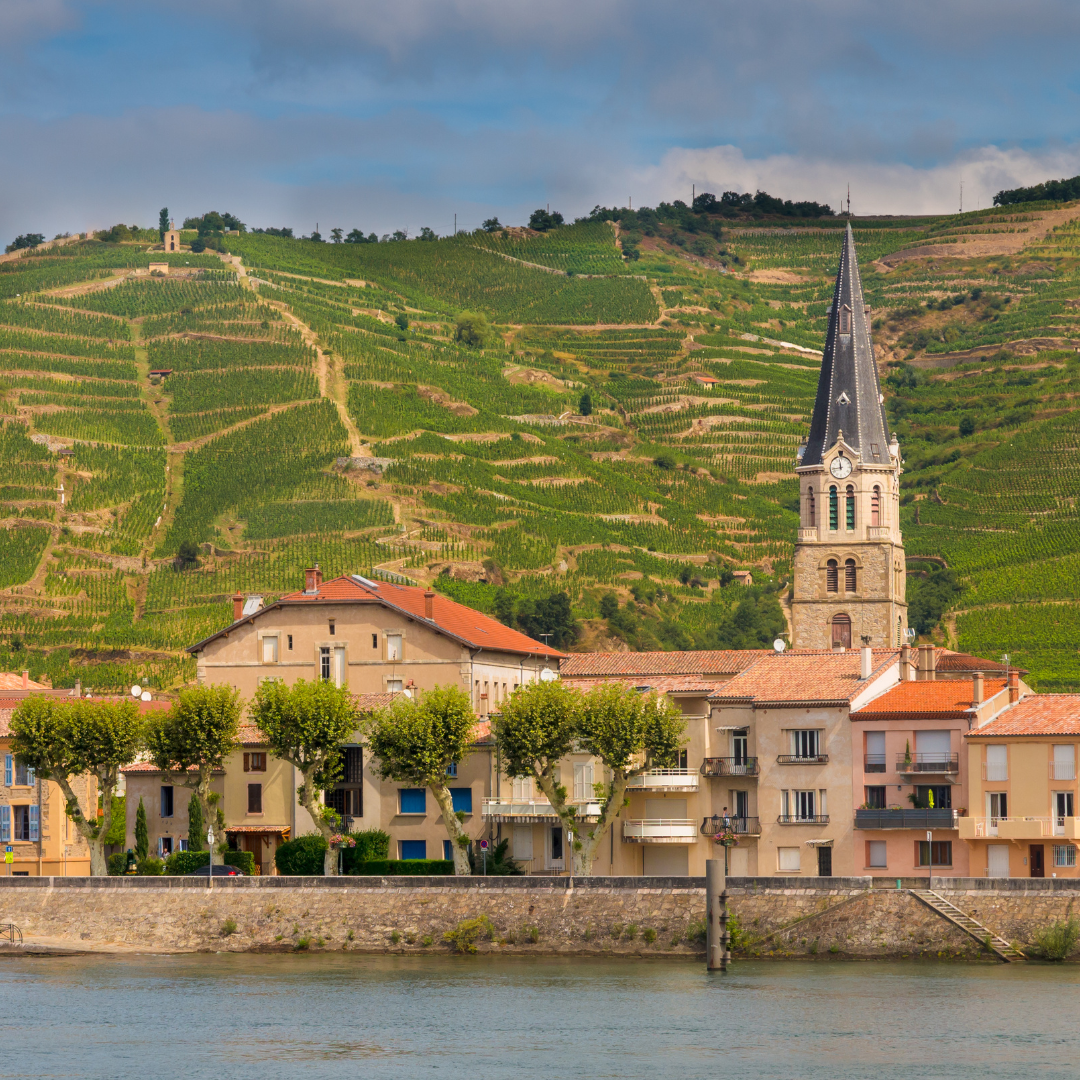San Antonio: Rhone Valley Deep Dive