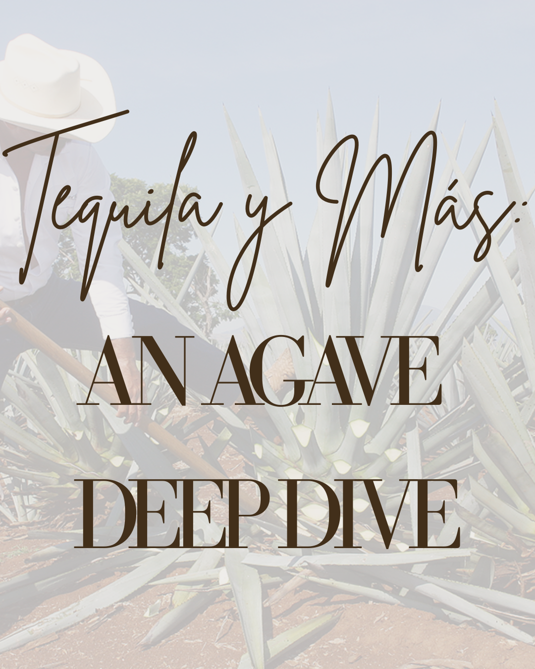 Tequila y Más: An Agave Deep Dive- Austin