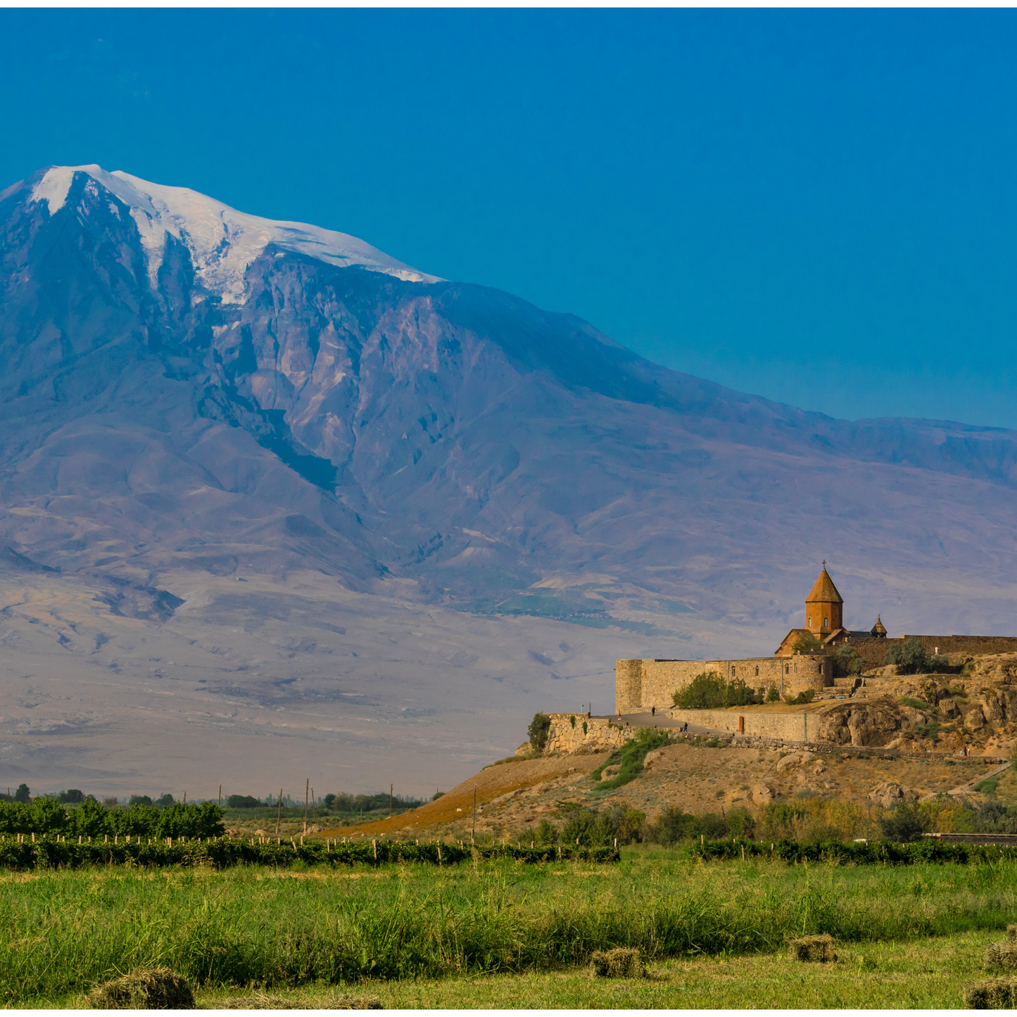 San Antonio: Middle Eastern Wine Tasting