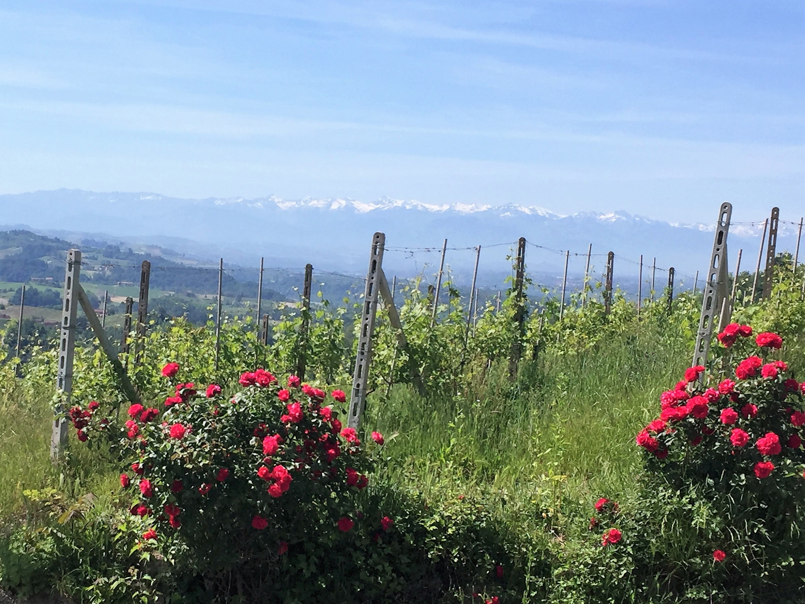 Austin Vining Wine Classes Across Texas | Houston, Austin, San Antonio & More – The ...