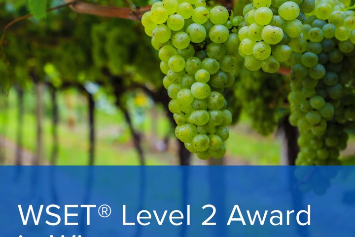 WSET Level 2 Award in Wines: Houston