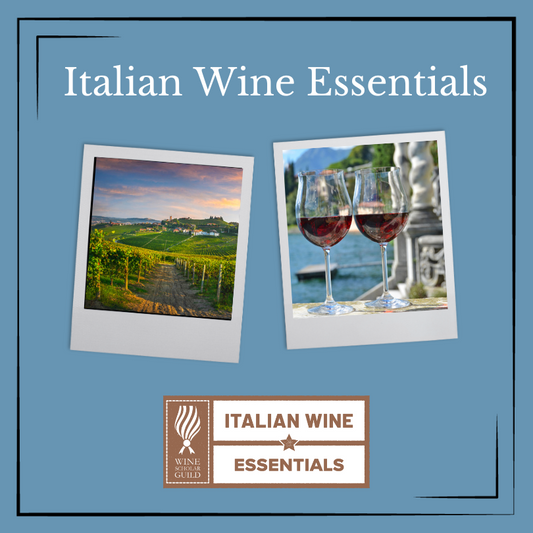 Italian Wine Essentials