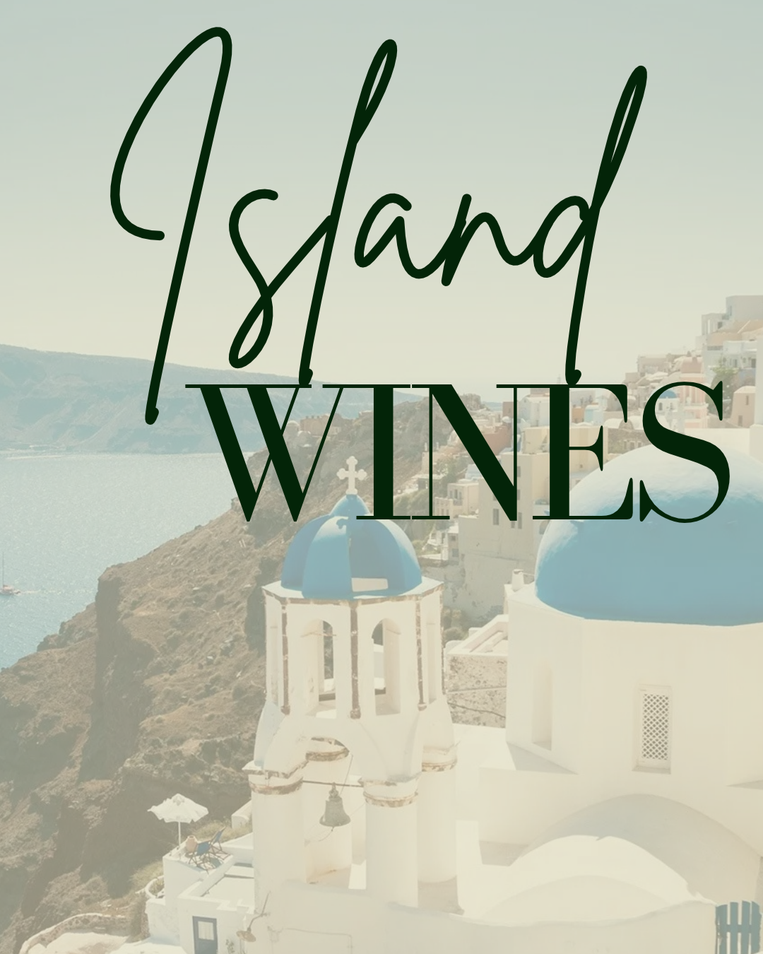 Island Wines- Austin