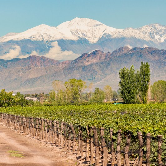 San Antonio: Wines of South America
