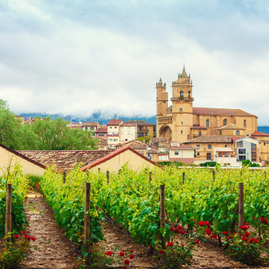 San Antonio: Wines of Spain