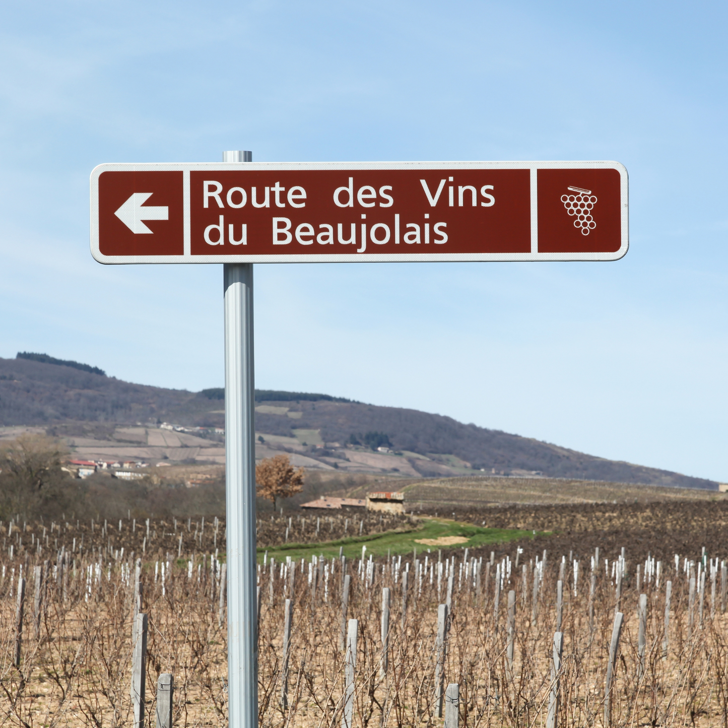 San Antonio: Wines of Beaujolais
