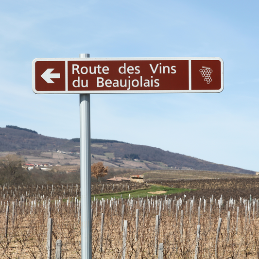 San Antonio: Wines of Beaujolais