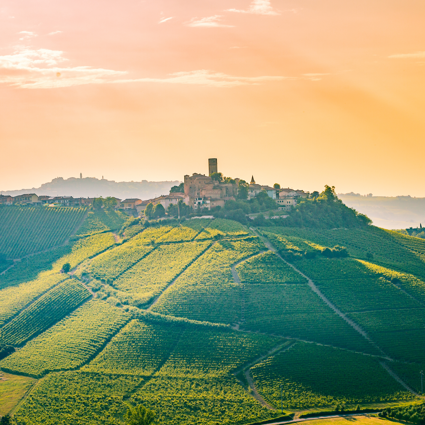San Antonio: Wines of Italy