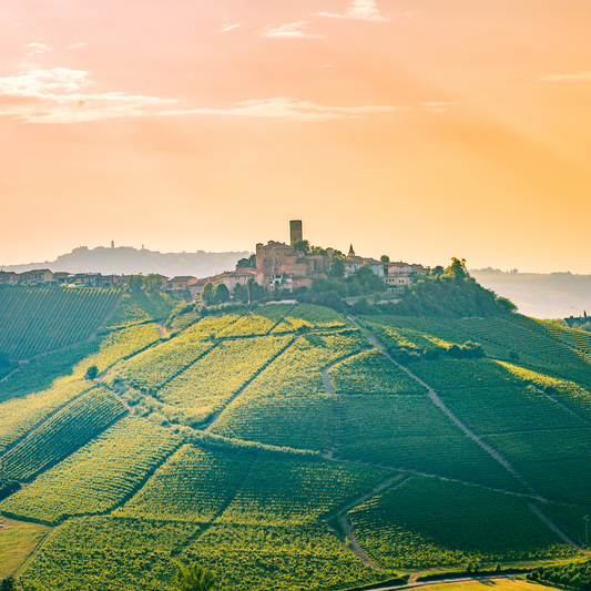 San Antonio: Wines of Italy