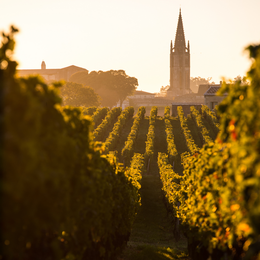San Antonio: Wines of France