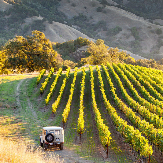 San Antonio: Wines of California