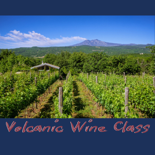 Volcanic Wines