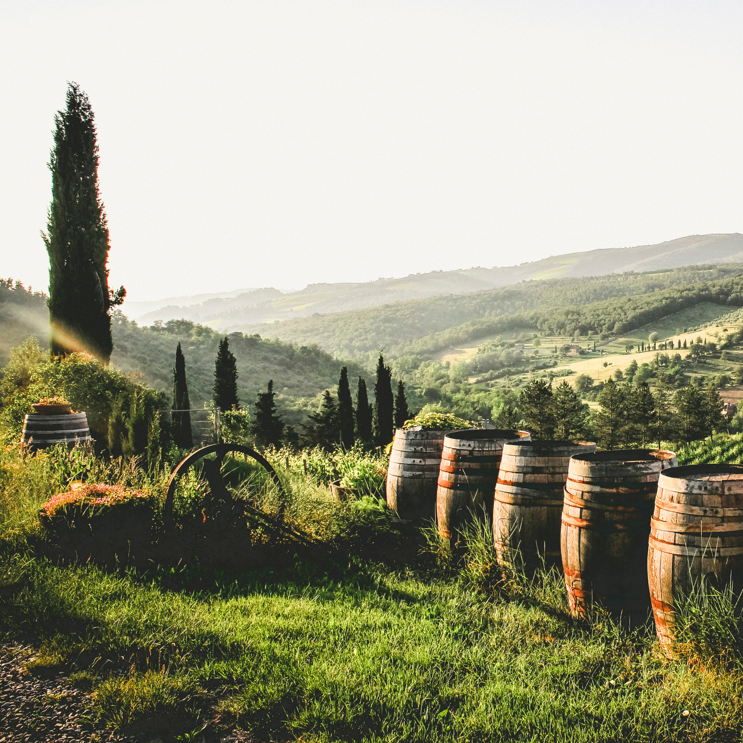 San Antonio: Summer Wines of Italy