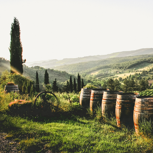 San Antonio: Summer Wines of Italy