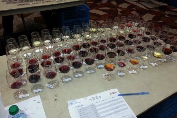 wine tasting exam texas wine school