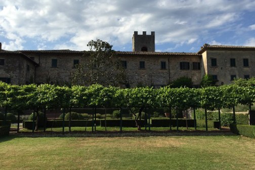 castle and vineyard