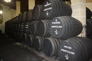 barrels of wine aging